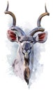 Kudu watercolor painting Royalty Free Stock Photo