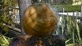 Kugel fountain or stone sphere fountains spining water decor of garden in outdoor