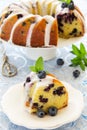 Kugelhopf cake with blueberries Royalty Free Stock Photo