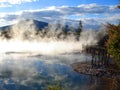 Kuirau Park, Rotorua, New Zealand Royalty Free Stock Photo