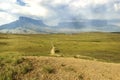 Kukenan Mount left and Roraima Mount right Called in Pemon Indians Language Kukenan Tepui and Roraima Tepui, with the Trekking Royalty Free Stock Photo