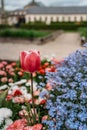 Kuks Hospital garden with colorful blooming flowers,East Bohemia,Czech republic.Pearl of Baroque with Holy Trinity Church.Used to