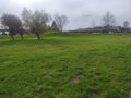 Kula Serbia Backa grass and trees near the lake Vojvodina scenery