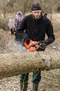 Kuldiga, Latvia - March 25, 2017: Forest clearing. A man with a chainsaw prunes a spruce
