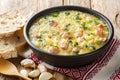 Kulesh is Ukrainian dish, popularized by Zaporizhian Cossacks this pottage, made of millet, salo, potatoes and onions close-up in Royalty Free Stock Photo