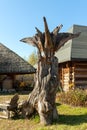 'Tree demon' sculpture carved in a tree trunk in an open-air museum.