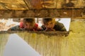 Kullu, Himachal Pradesh, India - April 01, 2019 : Photo of Kids in their house in Himalayan village