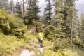 Kullu, Himachal Pradesh, India - August 31, 2018 : traveler in the forest looks for the trek in himalayas Royalty Free Stock Photo