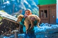 Kullu, Himachal Pradesh, India - January 26, 2019 : Happy boy playing with dog in mountains