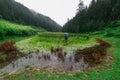 Kullu, Himachal Pradesh, India - September 02, 2018 : Grass covered punrik rishi lake surrounded by deodar tree Royalty Free Stock Photo