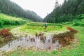 Kullu, Himachal Pradesh, India - September 02, 2018 : Grass covered punrik rishi lake surrounded by deodar tree Royalty Free Stock Photo