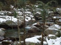 Kullu Manali River With Stones Royalty Free Stock Photo