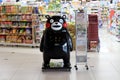 Kumamon of Kumamoto, mascot of prefecture