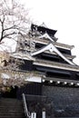 Kumamoto Castle and Cherry blossom