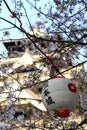 Kumamoto Castle and Cherry blossom Royalty Free Stock Photo