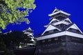 Kumamoto Castle at night time Royalty Free Stock Photo