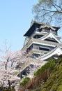 Kumamoto castle with sakura