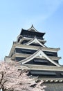 Kumamoto castle with sakura