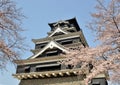 Kumamoto castle with sakura Royalty Free Stock Photo