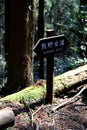 Kumano Kodo ancient pilgrim trail