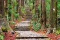 Kumano Kodo in Nachi, Wakayama, Japan