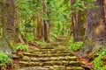 Kumano Kodo Sacred Trail