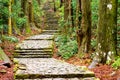 Kumano Kodo Trail