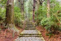 The Kumano Kodo trail, a sacred trail in Nachi, Japan