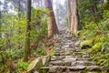 The Kumano Kodo Trail