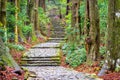 Kumano Kodo Trail Royalty Free Stock Photo