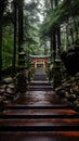 KUMANO NACHI TAISHA, Japan: Royalty Free Stock Photo