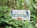 Kumarakom Bird Sanctuary in Kerala, India Royalty Free Stock Photo