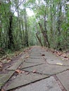 Kumarakom Bird Sanctuary in Kerala, India Royalty Free Stock Photo