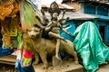 Kumartuli,West Bengal, India, July 2018. A clay idol of Goddess Jagadhatri under construction.Jagadhatri puja is the most awaited