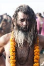 Kumbh Mela 2013