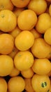 Kumpulan buah jeruk sweet orange fruits Royalty Free Stock Photo