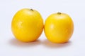 Kumquat Royalty Free Stock Photo