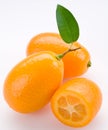 Kumquat