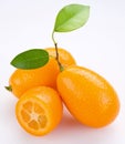 Kumquat Royalty Free Stock Photo