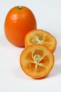 Kumquat Royalty Free Stock Photo