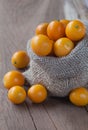 Kumquat in a burlap sack