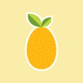 Kumquat, fruit on color background. Flat design style. vector illustration