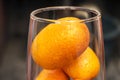 Kumquat fruits (or cumquats) citric fruit on a cup of glass. Royalty Free Stock Photo