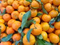 kumquat fruits Royalty Free Stock Photo