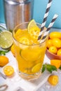 Kumquat lemonade drink Royalty Free Stock Photo