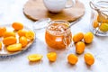 Kumquat on plate and jam in jar at gray background Royalty Free Stock Photo