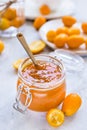 Kumquat on plate and jam in jar at gray background