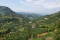 Kumquat trees plantation and valleys near Yangshuo,