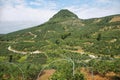 Kumquat trees plantation and valleys near Yangshuo,