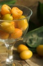 Kumquats Royalty Free Stock Photo